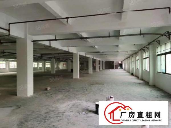  杨屋村原房东独门独院三层8400平厂房厂房出租可办环评