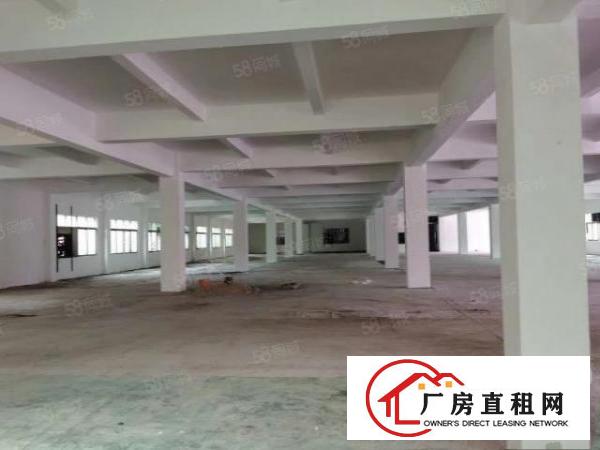  杨屋村原房东独门独院三层8400平厂房厂房出租可办环评