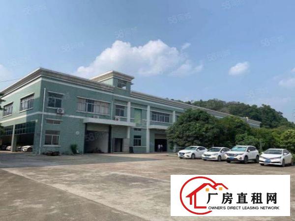  大岭山新出原房东独门独院6600平方带现成办公室装修