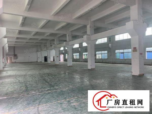  大岭山新出原房东独门独院6600平方带现成办公室装修