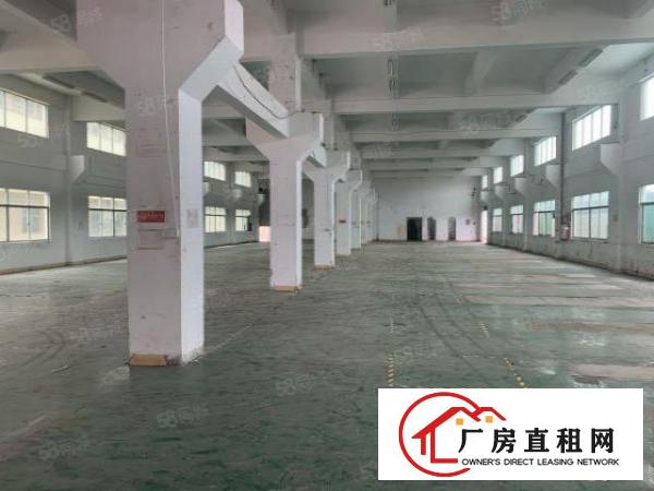  大岭山新出原房东独门独院6600平方带现成办公室装修