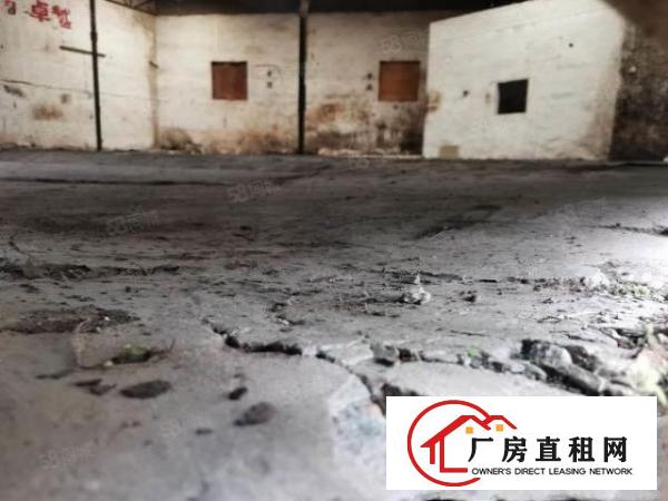  大岭山金桔村空出原房东单一层独门独院400方钢构厂房出租