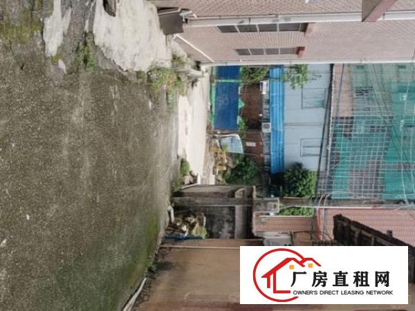  大岭山金桔村空出原房东单一层独门独院400方钢构厂房出租