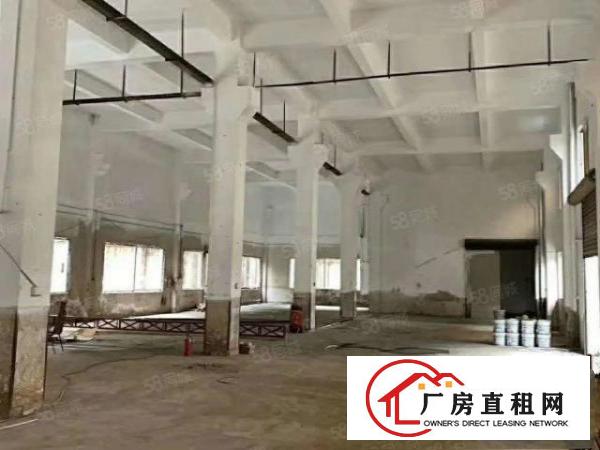 可办环坪经典原房东标准独门独院带牛角2层2200平厂房出租