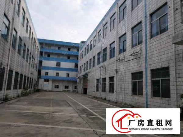  大岭山石大路边独门独院3300平方厂房招租可分租