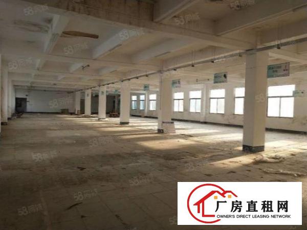  大岭山石大路边独门独院3300平方厂房招租可分租