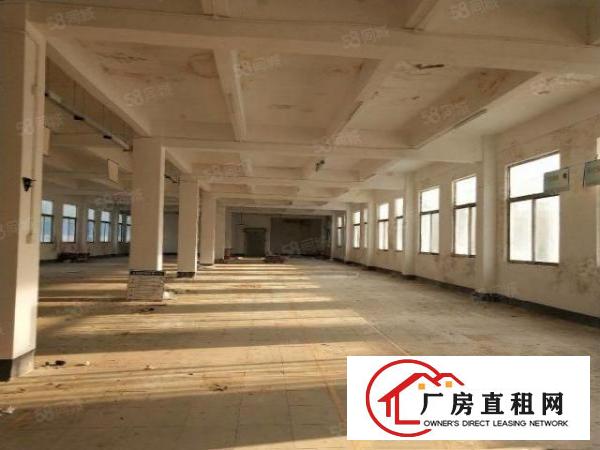  大岭山石大路边独门独院3300平方厂房招租可分租