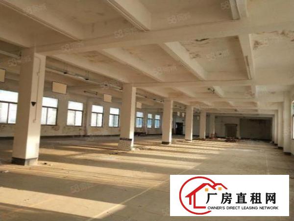  大岭山石大路边独门独院3300平方厂房招租可分租