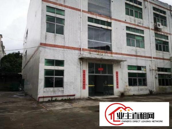  大岭山新出标准一楼1280平方厂房出租车间带地坪漆进出方便