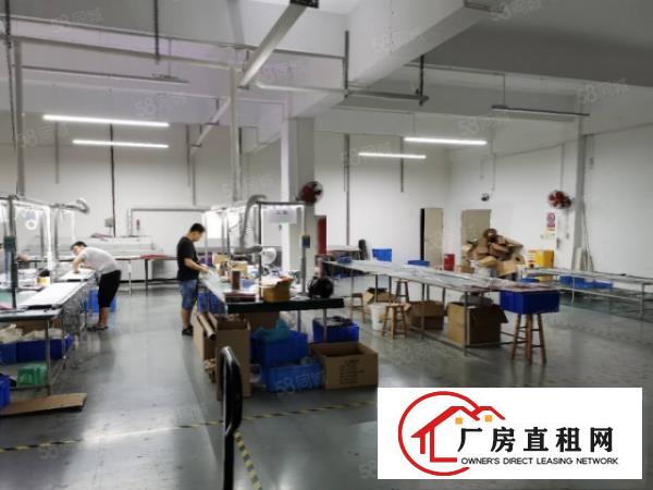  现成装修免费用大岭山镇工业区租客分租650平格局好形象好