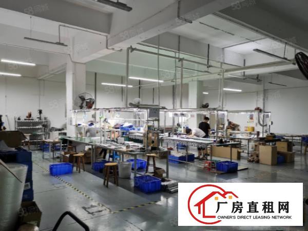  现成装修免费用大岭山镇工业区租客分租650平格局好形象好