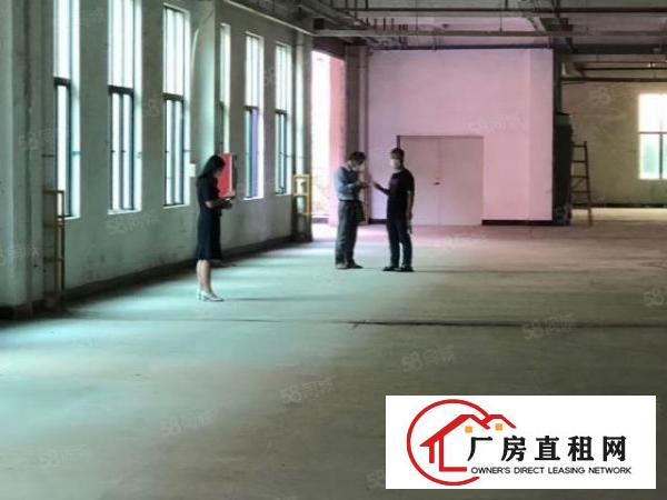  大岭山政府工业区厂房招商