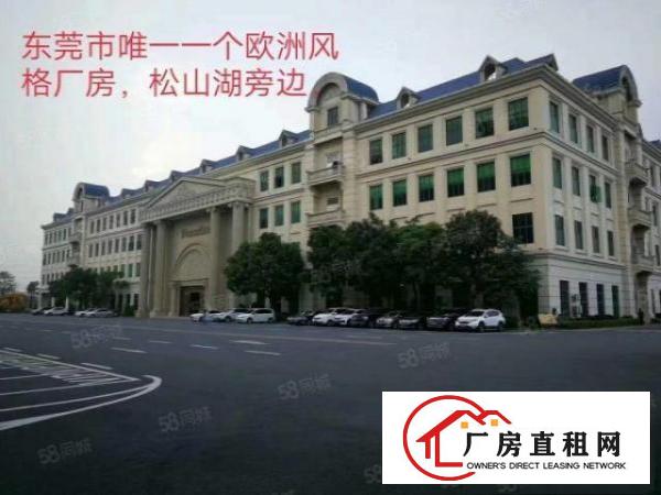  大岭山政府工业区厂房招商