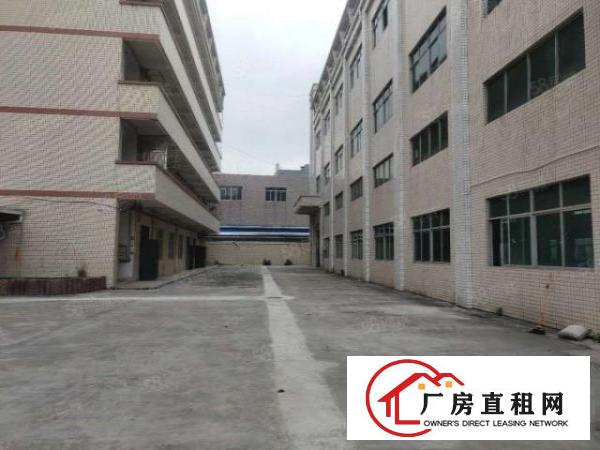  大岭山杨屋新出独院3层4600平厂房出租可分租