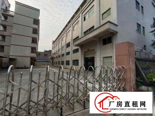 大岭山杨屋新出独院3层4600平厂房出租可分租