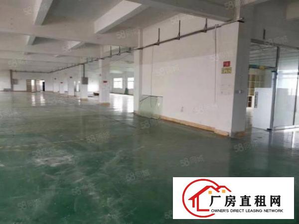  大岭山杨屋新出独院3层4600平厂房出租可分租