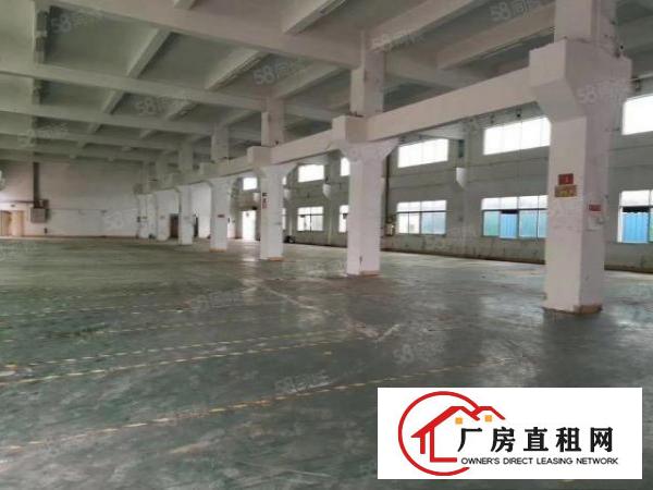  大岭山杨屋新出独院3层4600平厂房出租可分租