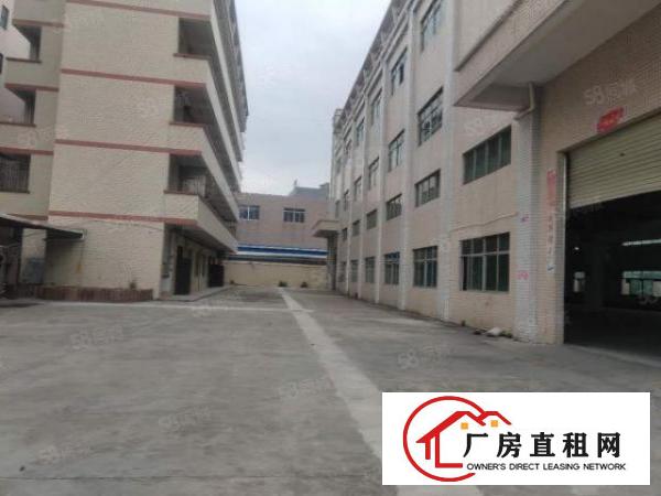  大岭山杨屋新出独院3层4600平厂房出租可分租