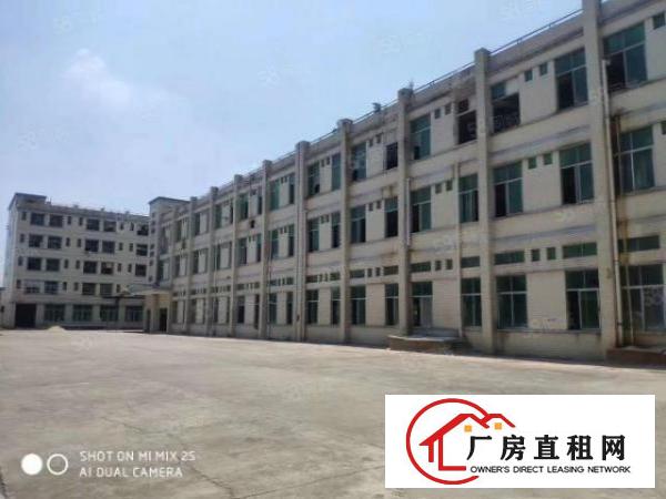  大岭山高速出口附近新出豪华装修1.2楼2500平米招租