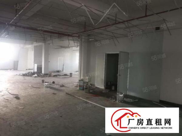  大岭山向东村空出独栋楼上1050方标准厂房出租，带仓库办公室
