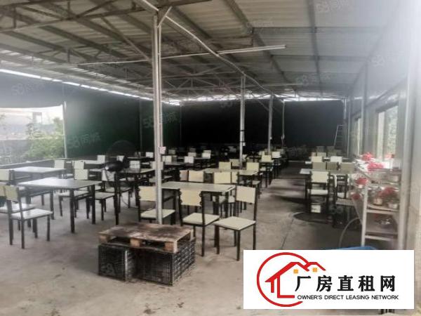  大岭山向东村空出独栋楼上1050方标准厂房出租，带仓库办公室