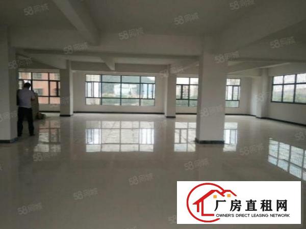  新出原房东500平无公摊分租独门独院带装修办公室标准厂房出租