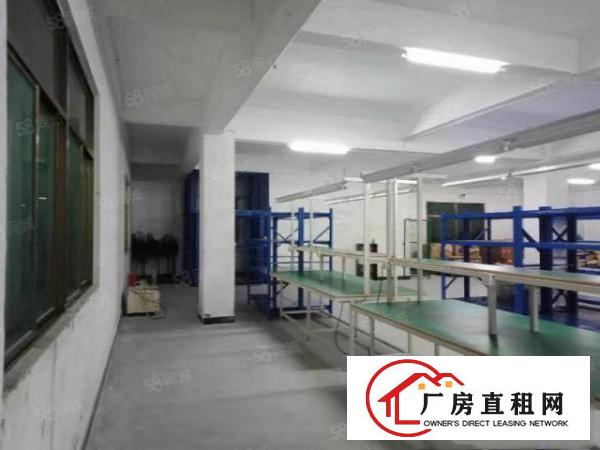  新出原房东500平无公摊分租独门独院带装修办公室标准厂房出租