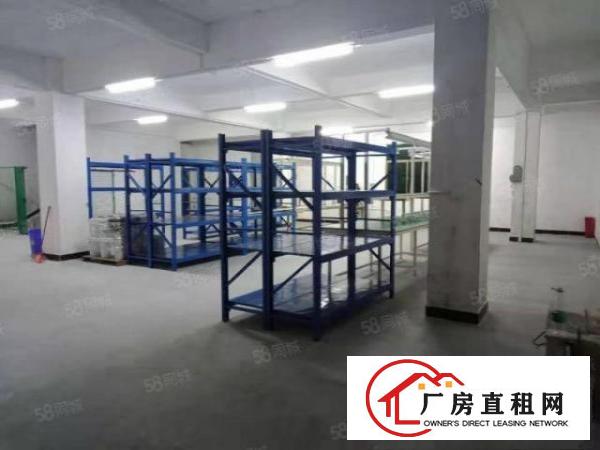  新出原房东500平无公摊分租独门独院带装修办公室标准厂房出租