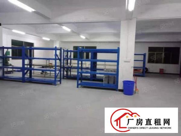  新出原房东500平无公摊分租独门独院带装修办公室标准厂房出租