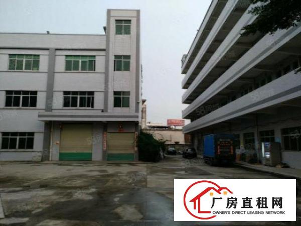  新出原房东500平无公摊分租独门独院带装修办公室标准厂房出租