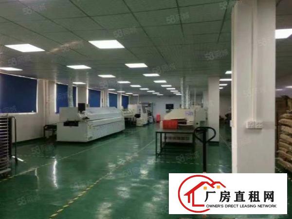  大岭山一个单一层独院，可以办环评，水电齐全，带豪华装修，