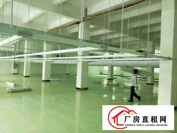  大岭山一个单一层独院，可以办环评，水电齐全，带豪华装修，