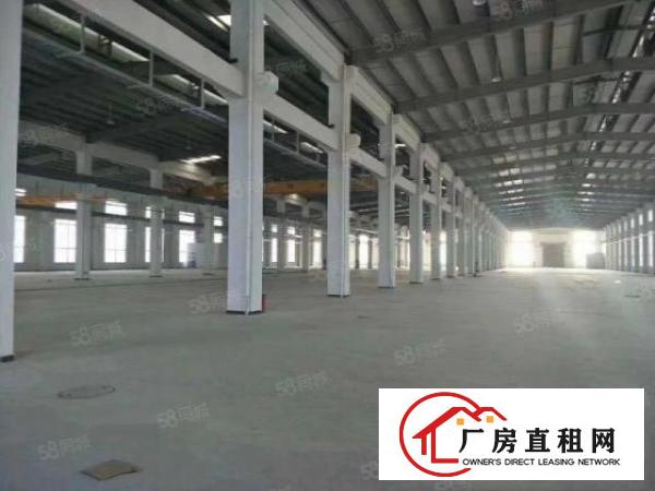  新出600平9米高无公摊原房东可做污染办环评单一层钢构厂房