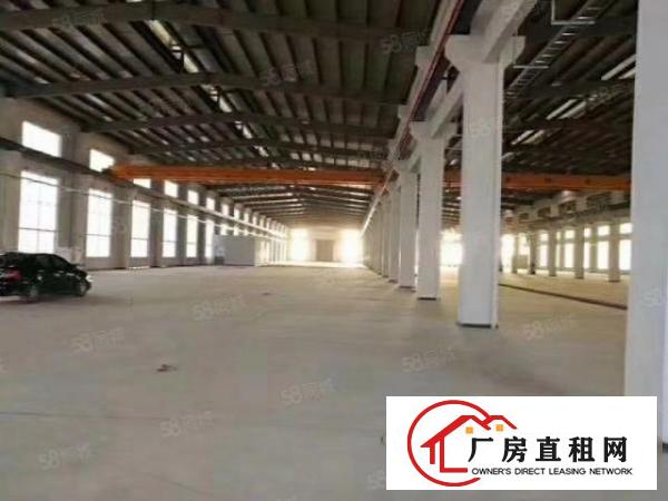  新出600平9米高无公摊原房东可做污染办环评单一层钢构厂房