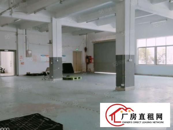  大岭山镇原房东出租一楼520平带办公室厂房形象好可分租