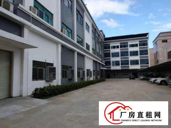  大岭山新出全新厂房一楼8米高重工业厂房超长免租期半年