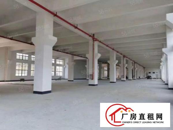  大岭山新出全新厂房一楼8米高重工业厂房超长免租期半年