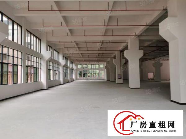  大岭山大工业园新出标准一楼2080平厂房出租高7.5可办环评