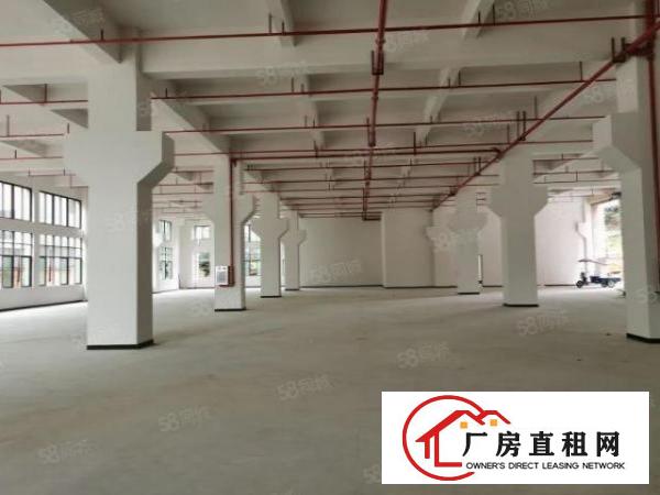  大岭山大工业园新出标准一楼2080平厂房出租高7.5可办环评