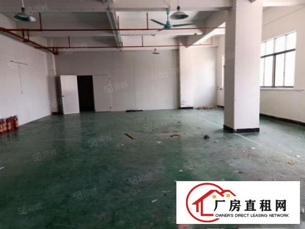  颜屋新出4楼660平带豪华装修地坪漆，厂房形象佳，带消防喷淋