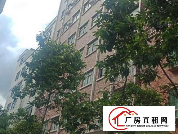  颜屋新出4楼660平带豪华装修地坪漆，厂房形象佳，带消防喷淋