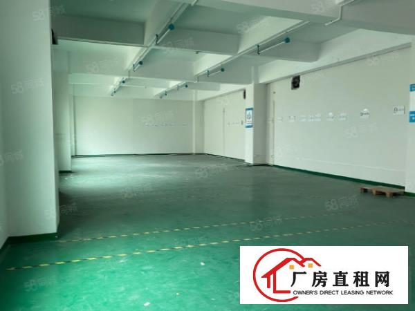  形象格局好大岭山镇出租楼上1000平厂房有隔开的办公室可分