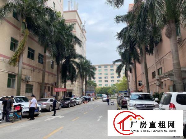  形象格局好大岭山镇出租楼上1000平厂房有隔开的办公室可分
