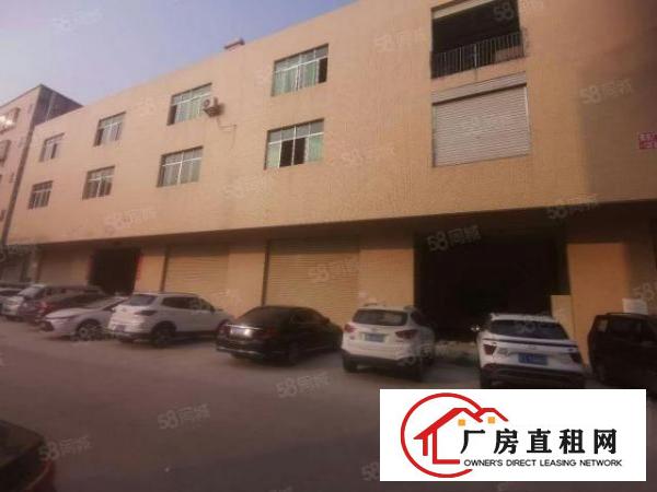  大岭山下虎山一楼加二楼580平方白菜价12元出租