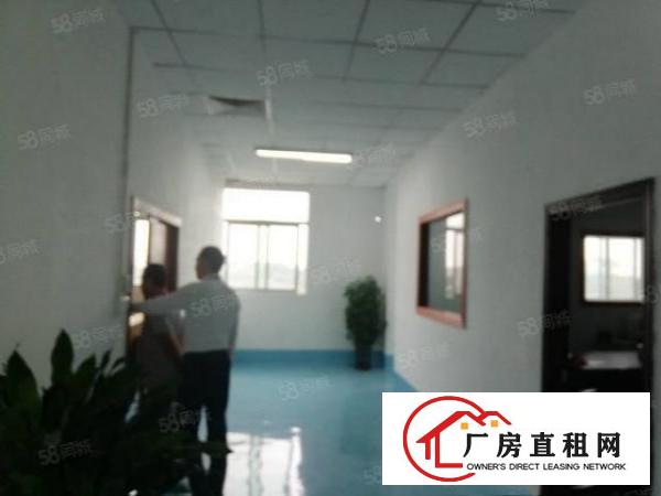  大岭山一手房东水电齐全精装修办公室车间可办环评3吨电梯无杂费