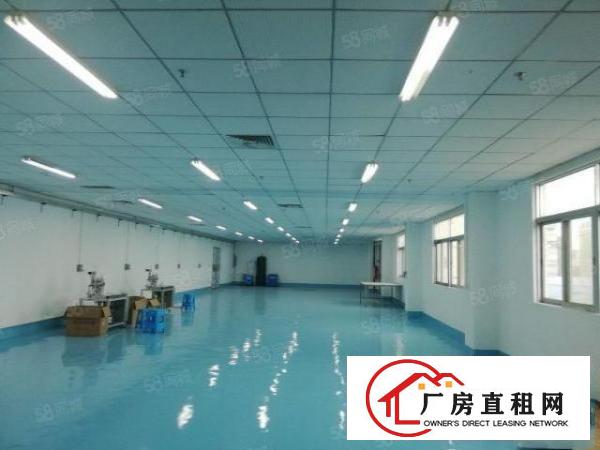  大岭山一手房东水电齐全精装修办公室车间可办环评3吨电梯无杂费