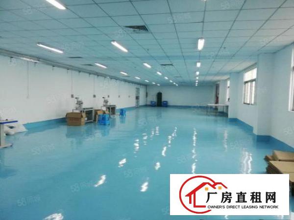  大岭山一手房东水电齐全精装修办公室车间可办环评3吨电梯无杂费