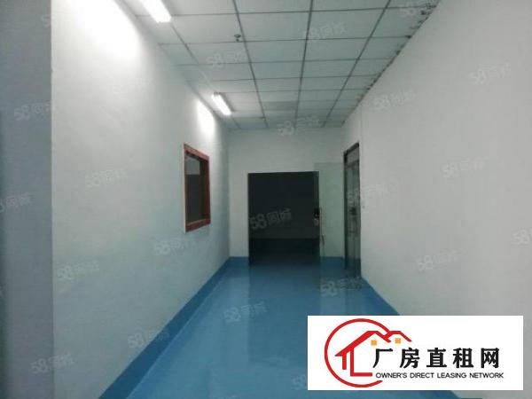  大岭山一手房东水电齐全精装修办公室车间可办环评3吨电梯无杂费