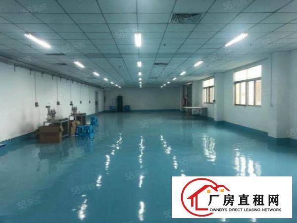  大岭山一手房东水电齐全精装修办公室车间可办环评3吨电梯无杂费