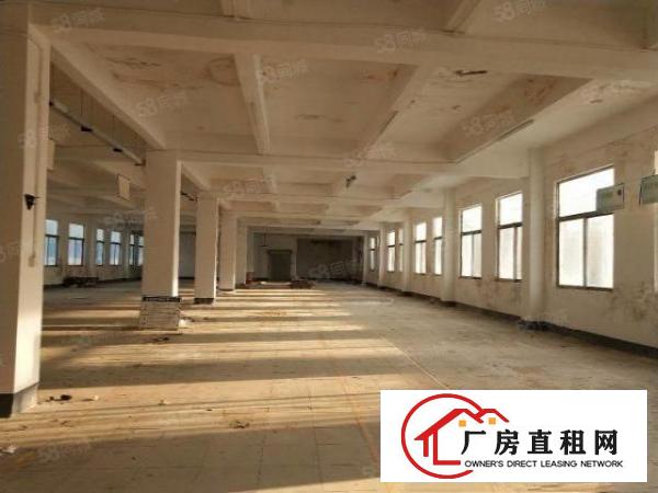  大岭山石大路边新出原房东独门独院5800平方厂房招租可分租
